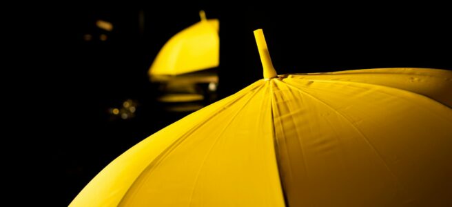 bright yellow umbrella in close up photography